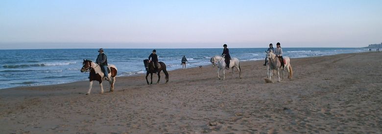 Reiten am Strand